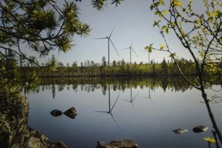 volkswagen crea parques solares y eolicos para alimentar sus ID
